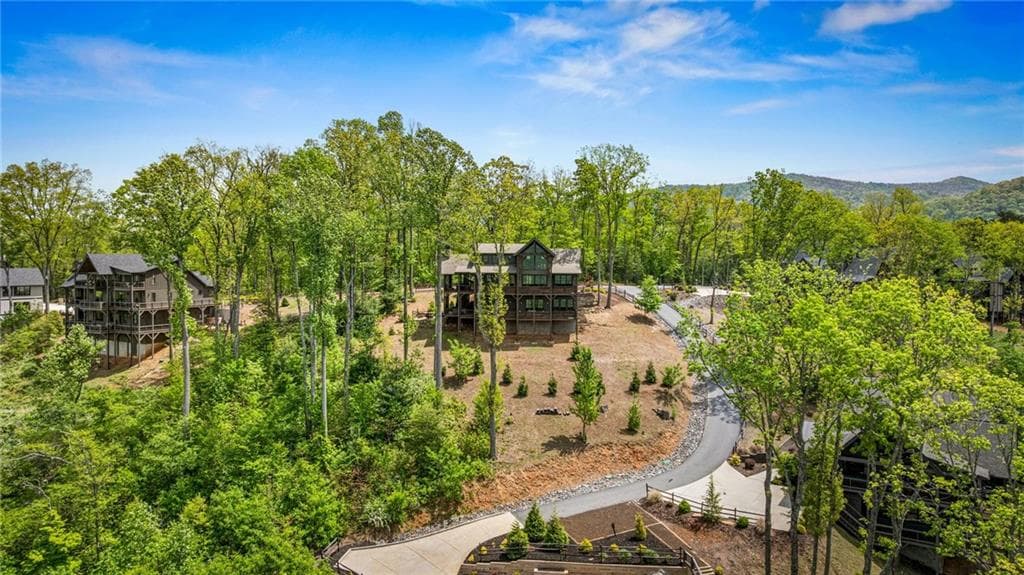 5 bedroom, 6 bathroom, 3,328 sq ft single family residence for sale at 802 Overlook Drive, Blue Ridge, GA 30513 — photo 7