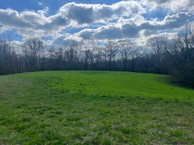 other for sale at 3011 Mark Foster, Talking Rock, GA 30175