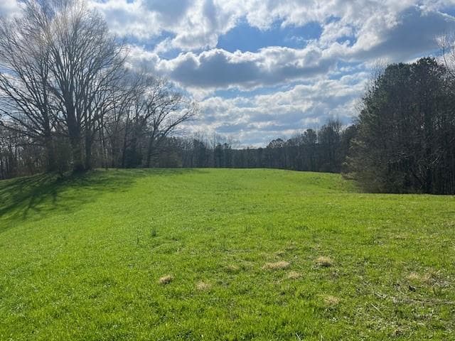 other for sale at 3011 Mark Foster, Talking Rock, GA 30175 — photo 2