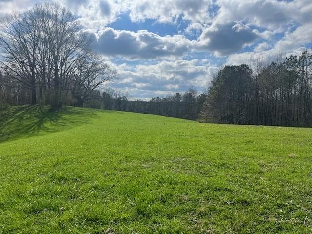 other for sale at 3011 Mark Foster, Talking Rock, GA 30175 — photo 3