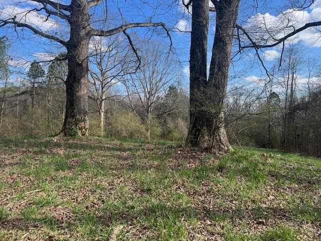 other for sale at 3011 Mark Foster, Talking Rock, GA 30175 — photo 4