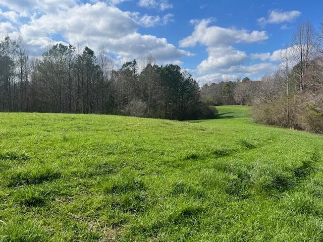 other for sale at 3011 Mark Foster, Talking Rock, GA 30175 — photo 5
