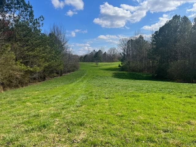 other for sale at 3011 Mark Foster, Talking Rock, GA 30175 — photo 6