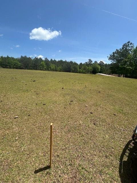 unimproved land for sale at 766 S Bethany Road, Mcdonough, GA 30252 — photo 4