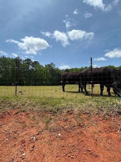 unimproved land for sale at 766 S Bethany Road, Mcdonough, GA 30252 — photo 5