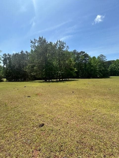 unimproved land for sale at 768 S Bethany Road, Mcdonough, GA 30252 — photo 2