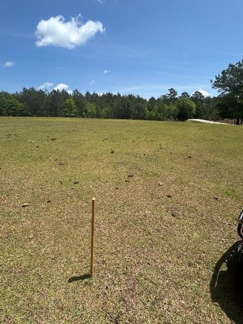 unimproved land for sale at 768 S Bethany Road, Mcdonough, GA 30252 — photo 5