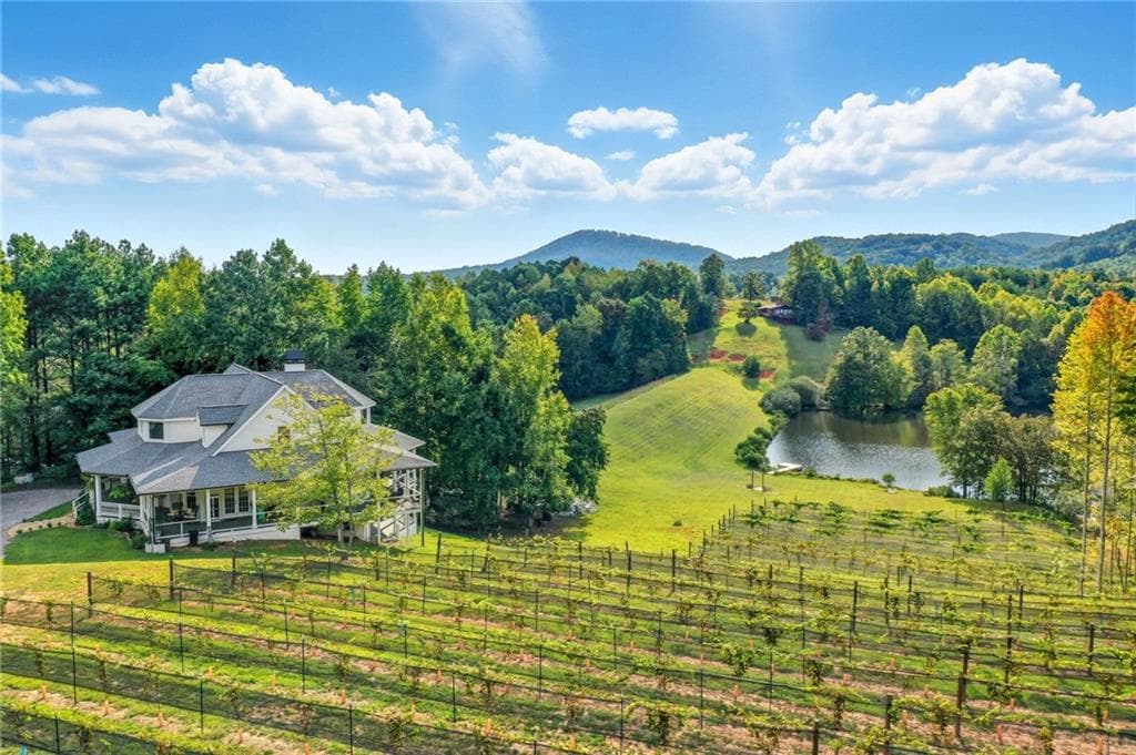 4 bedroom, 6 bathroom, 4,909 sq ft single family residence under contract at 199 Tabitha Drive, Jasper, GA 30143 — photo 5