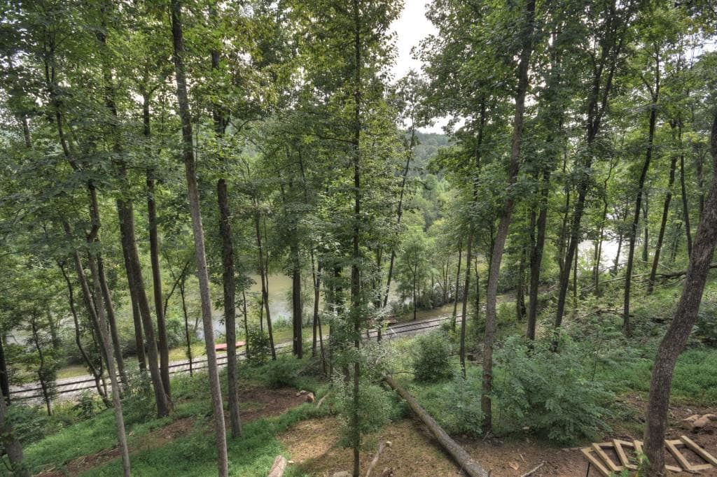 3 bedroom, 4 bathroom, 2,548 sq ft single family residence for sale at 271 Toccoa Preserve Court, Blue Ridge, GA 30513 — photo 5