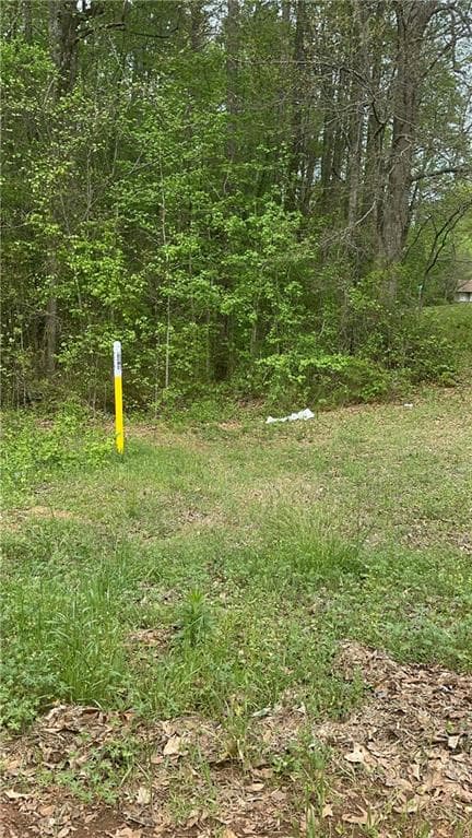 other for sale at 314 W Fayetteville Road, Riverdale, GA 30296 — photo 4