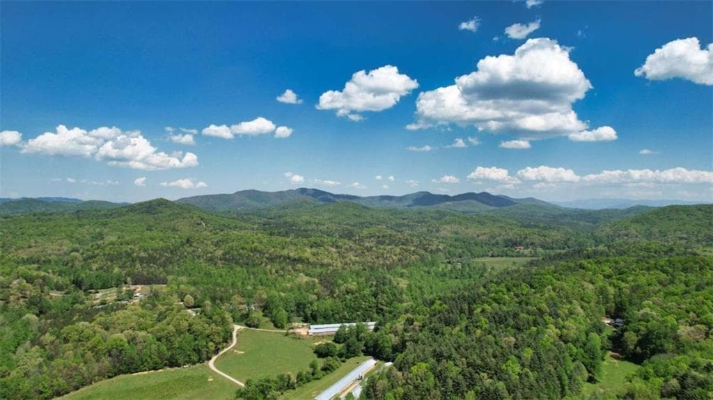 2 bedroom, 2 bathroom, 984 sq ft single family residence for sale at 210 Shade Tree Lane, Mineral Bluff, GA 30559 — photo 5