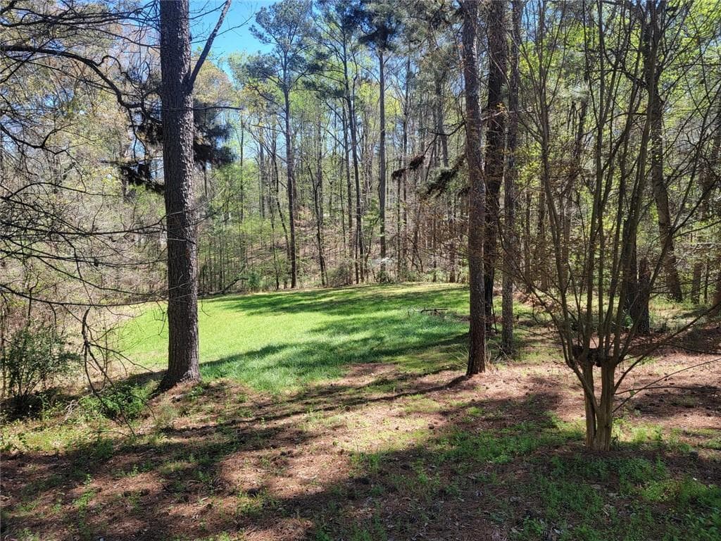 4 bedroom, 4 bathroom, 3,848 sq ft single family residence for sale at 4206 Pittman Road, College Park, GA 30349 — photo 10