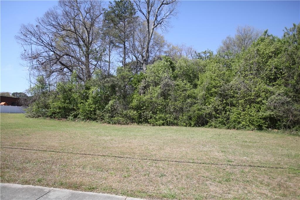 unimproved land for sale at 6575 River Park Drive, Riverdale, GA 30274 — photo 4