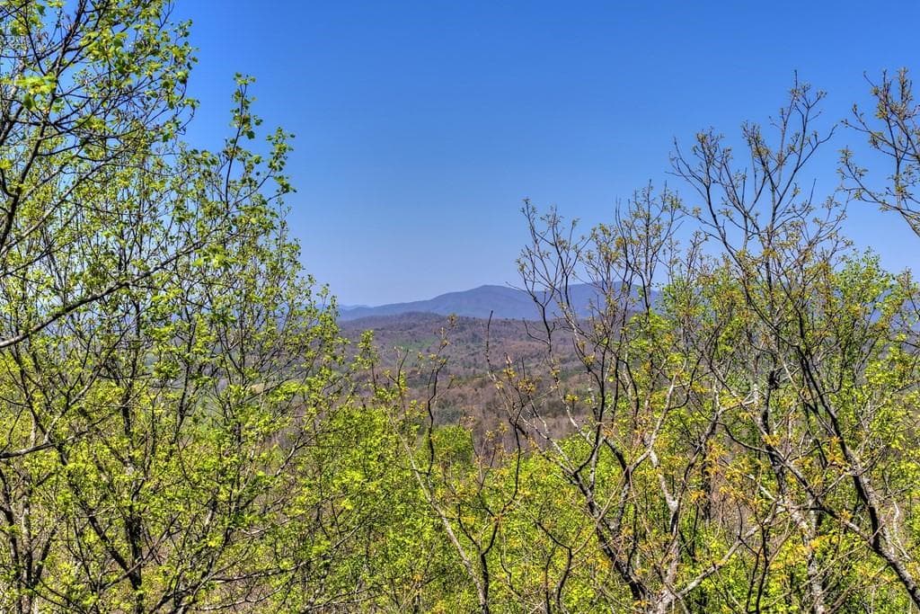 3 bedroom, 4 bathroom, 2,728 sq ft single family residence for sale at 1073 Old Burnt Mountain Road, Ellijay, GA 30536 — photo 3
