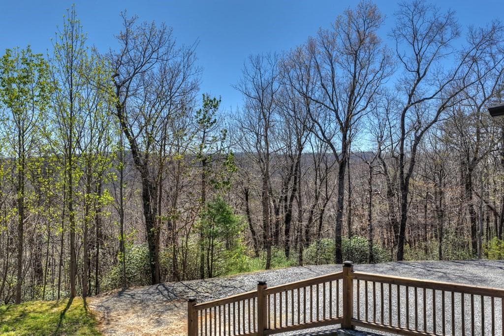 3 bedroom, 4 bathroom, 2,728 sq ft single family residence for sale at 1073 Old Burnt Mountain Road, Ellijay, GA 30536 — photo 9