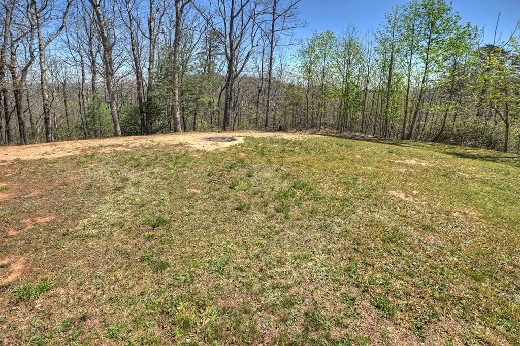 3 bedroom, 4 bathroom, 2,728 sq ft single family residence for sale at 1073 Old Burnt Mountain Road, Ellijay, GA 30536 — photo 10