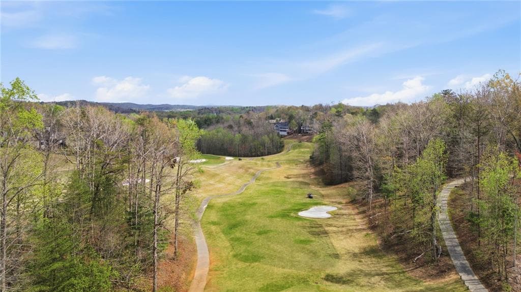 4 bedroom, 6 bathroom, 6,052 sq ft single family residence for sale at 447 Night Fire Drive, Dawsonville, GA 30534 — photo 3