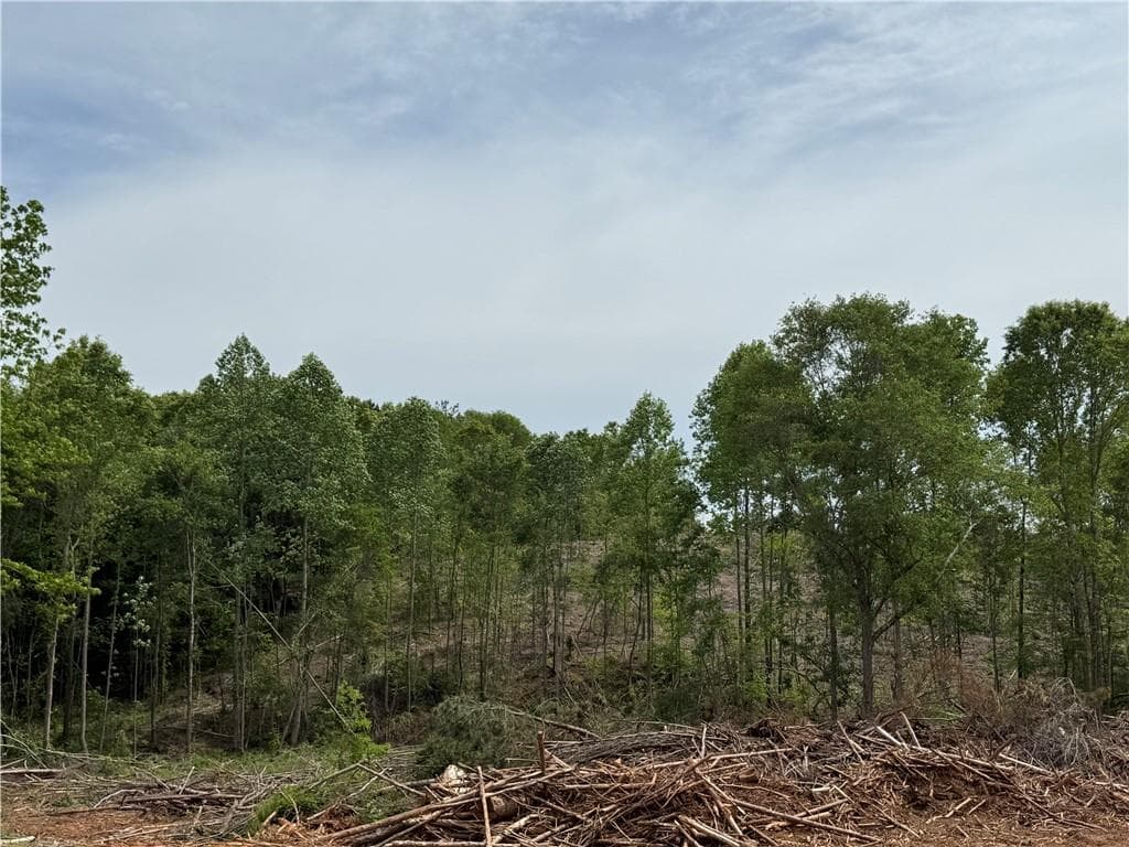 unimproved land for sale at 2574 N Hwy 27, Carrollton, GA 30117 — photo 3