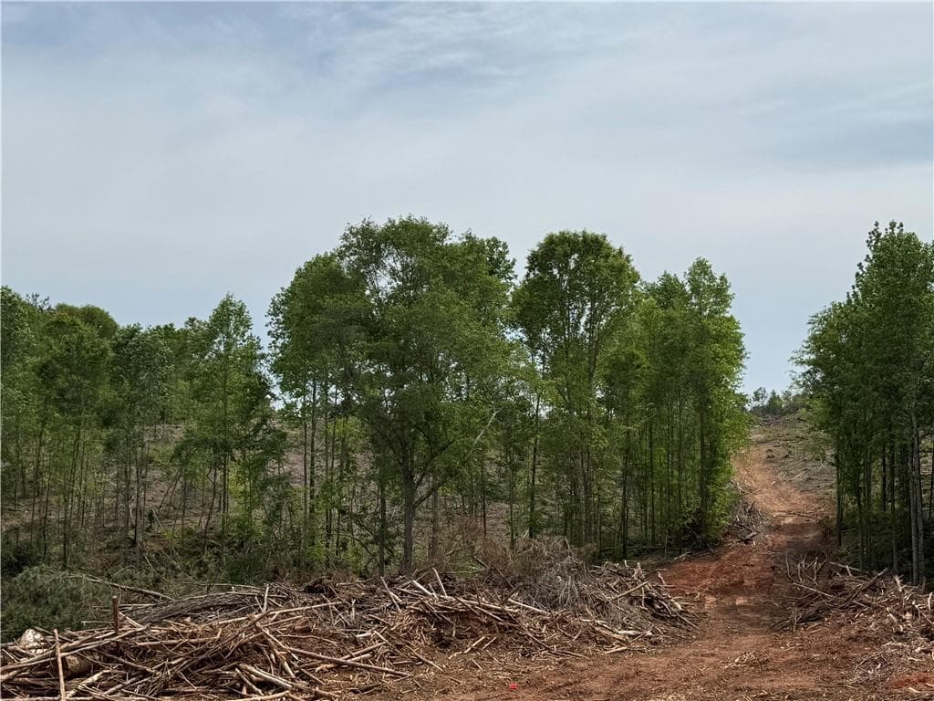 unimproved land for sale at 2574 N Hwy 27, Carrollton, GA 30117 — photo 1 of 4