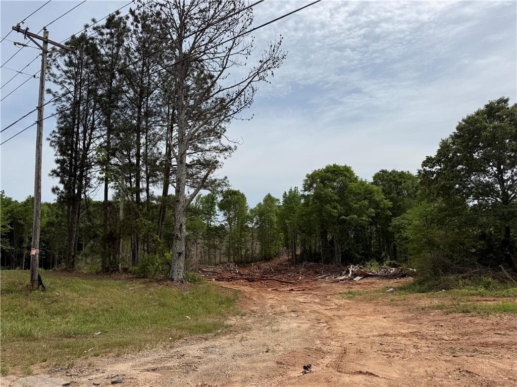 unimproved land for sale at 2574 N Hwy 27, Carrollton, GA 30117 — photo 2