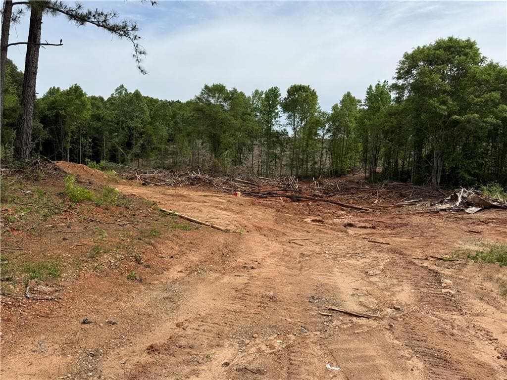 unimproved land for sale at 2574 N Hwy 27, Carrollton, GA 30117 — photo 4