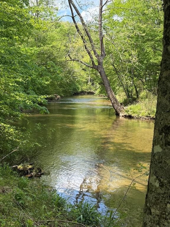 other for sale at 9.8 AC Brown Mountain Road, Suches, GA 30572