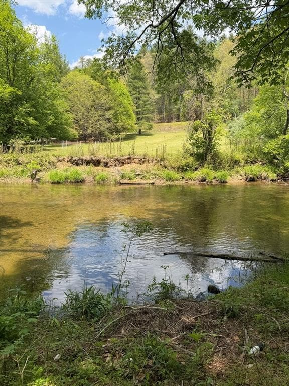other for sale at 9.8 AC Brown Mountain Road, Suches, GA 30572 — photo 3