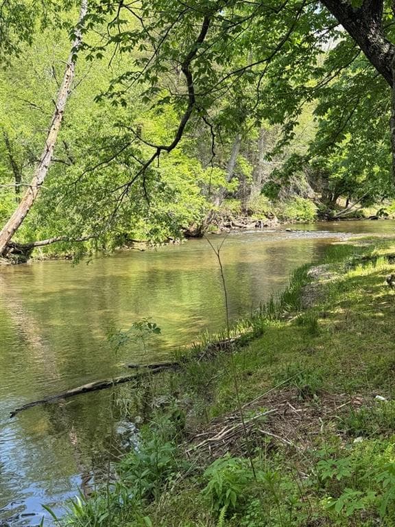 other for sale at 9.8 AC Brown Mountain Road, Suches, GA 30572 — photo 4