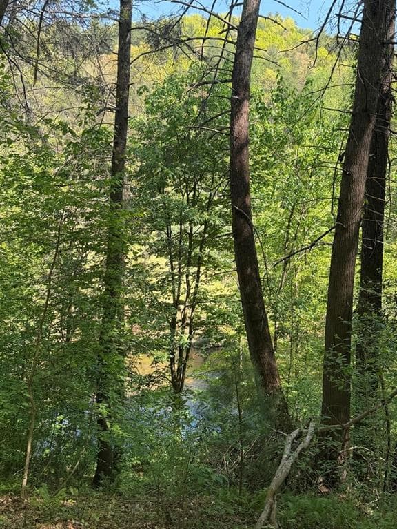 other for sale at 9.8 AC Brown Mountain Road, Suches, GA 30572 — photo 5