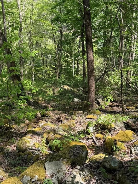 other for sale at 9.8 AC Brown Mountain Road, Suches, GA 30572 — photo 8
