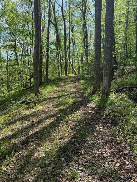 other for sale at 9.8 AC Brown Mountain Road, Suches, GA 30572 — photo 9