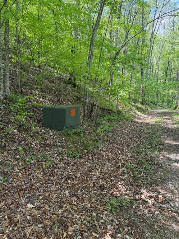 other for sale at 9.8 AC Brown Mountain Road, Suches, GA 30572 — photo 10