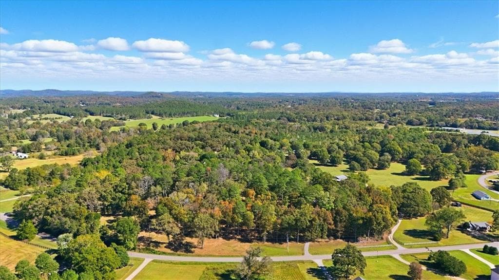 unimproved land for sale at 0 Cave Spring Road, Cedartown, GA 30125 — photo 2