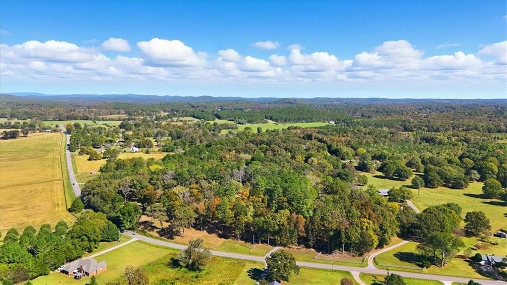 unimproved land for sale at 0 Cave Spring Road, Cedartown, GA 30125 — photo 4
