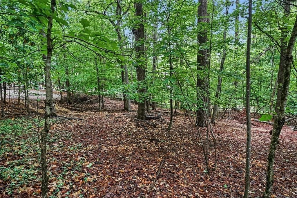 other for sale at 3838 Wesley Chapel Road, Marietta, GA 30062 — photo 6