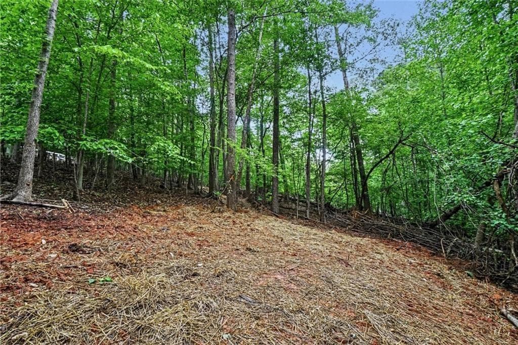 other for sale at 3838 Wesley Chapel Road, Marietta, GA 30062 — photo 7
