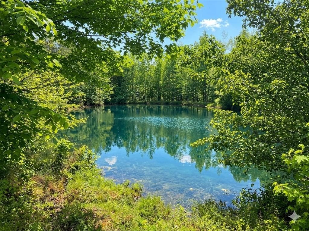 other for sale at 3130 Hiram Douglasville Highway, Hiram, GA 30141 — photo 2