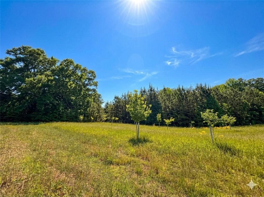 other for sale at 3130 Hiram Douglasville Highway, Hiram, GA 30141 — photo 6