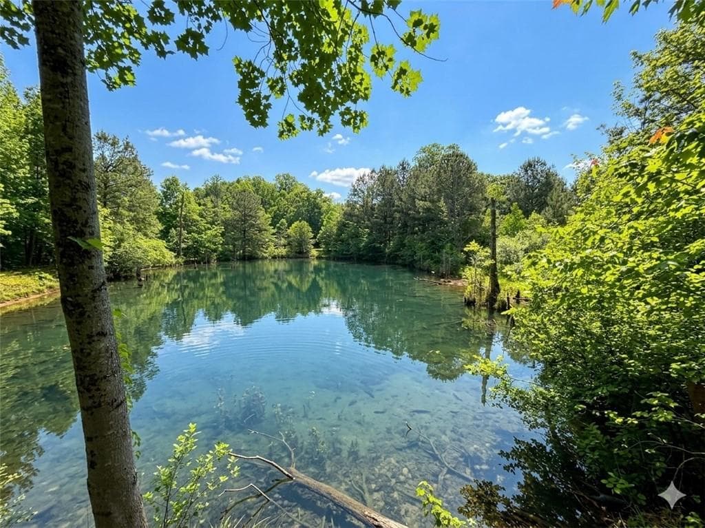 other for sale at 3130 Hiram Douglasville Highway, Hiram, GA 30141 — photo 3
