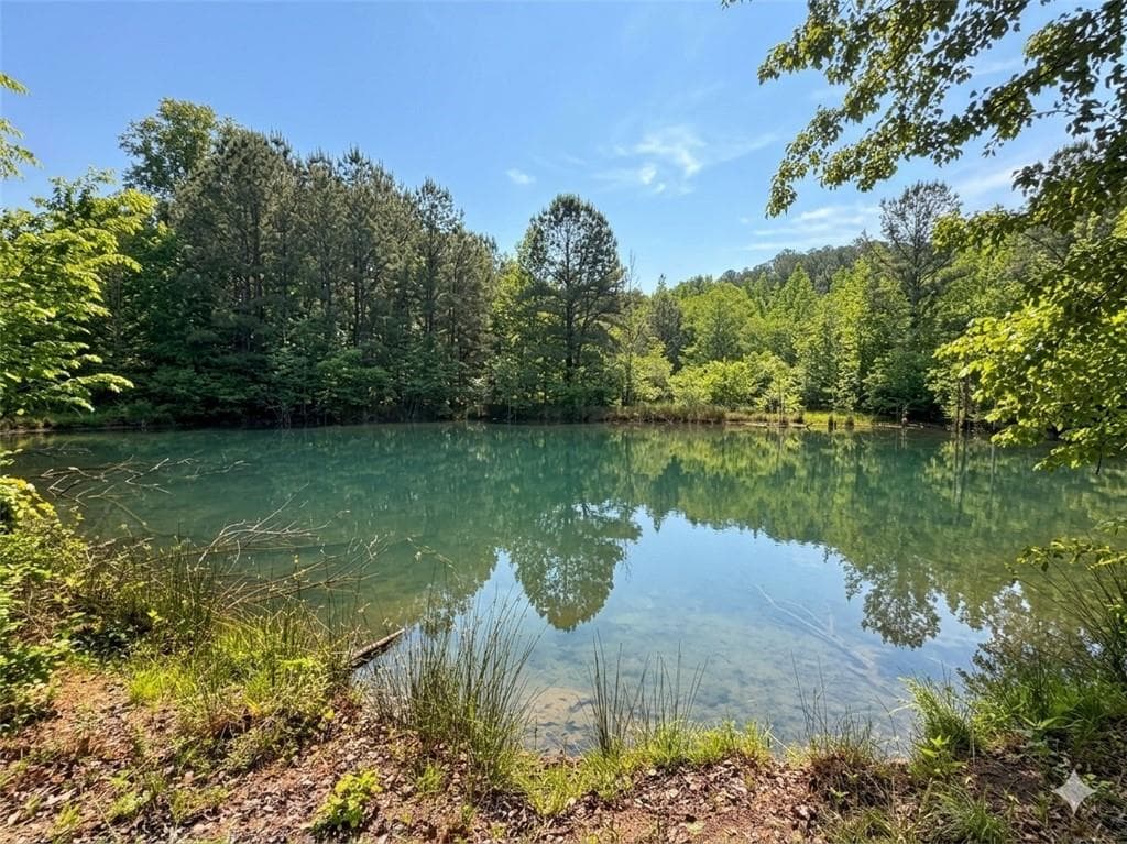 other for sale at 3130 Hiram Douglasville Highway, Hiram, GA 30141 — photo 4