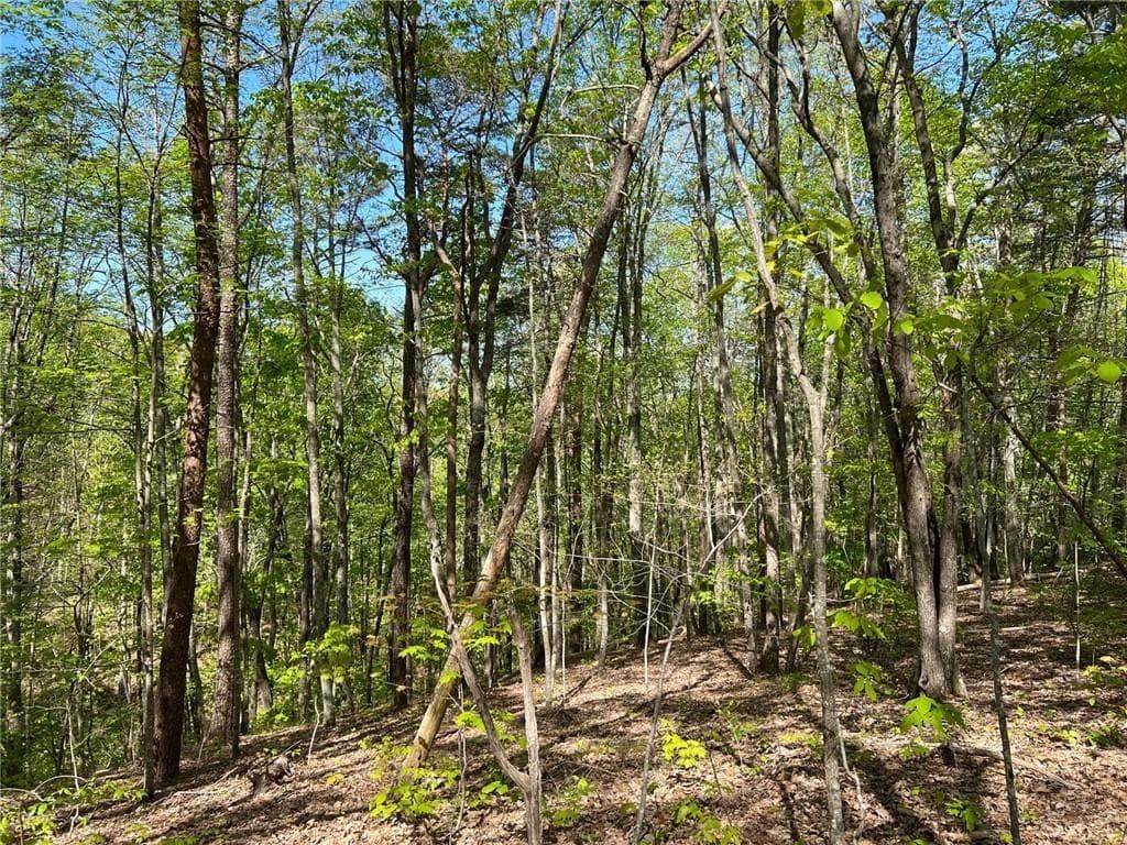 unimproved land for sale at 269 Appleberry Mountain Road, Waleska, GA 30183 — photo 1 of 4