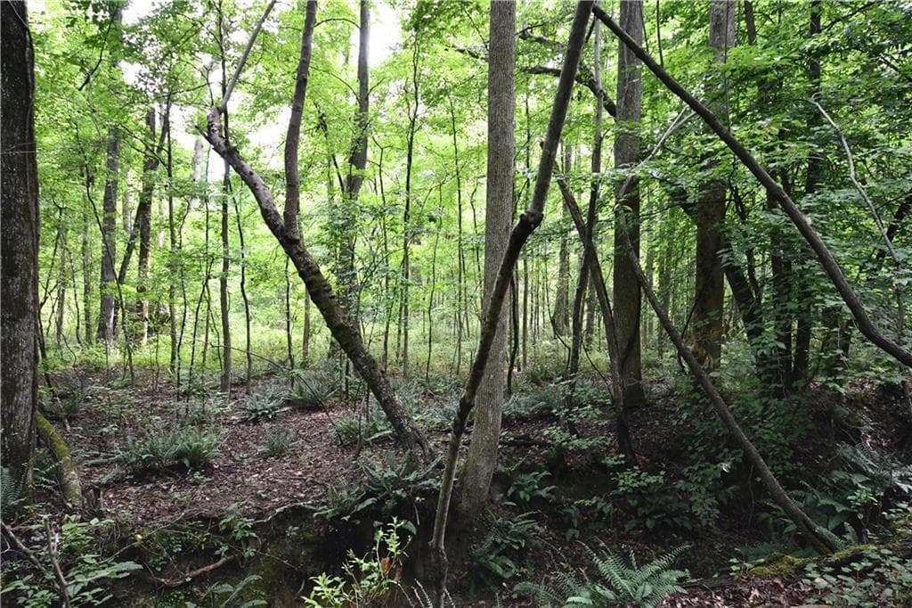 unimproved land for sale at 00008 Windridge Lane, Temple, GA 30179 — photo 2