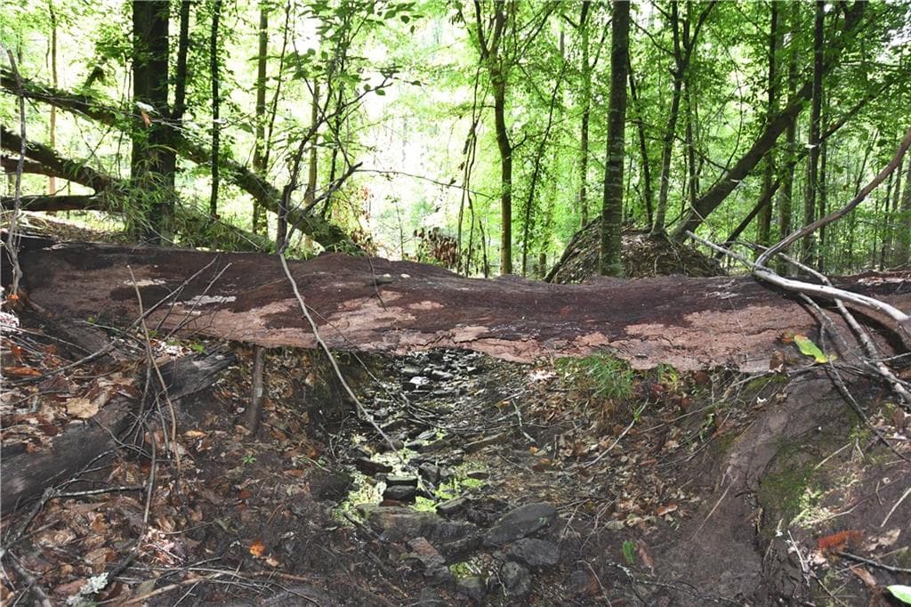 unimproved land for sale at 00008 Windridge Lane, Temple, GA 30179 — photo 3