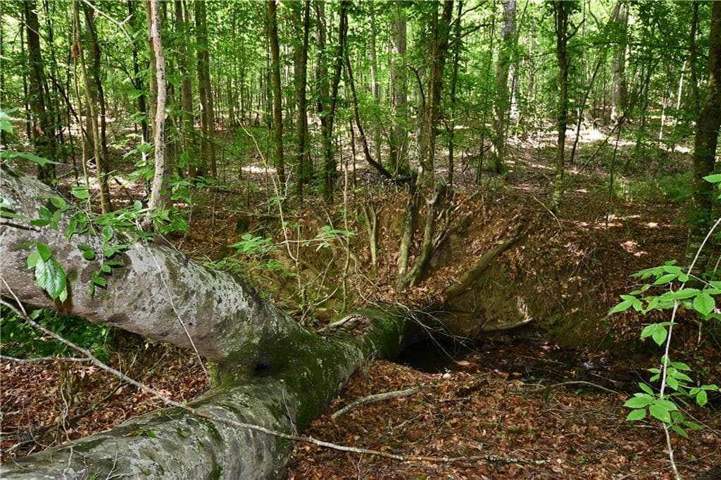 unimproved land for sale at 00008 Windridge Lane, Temple, GA 30179 — photo 5