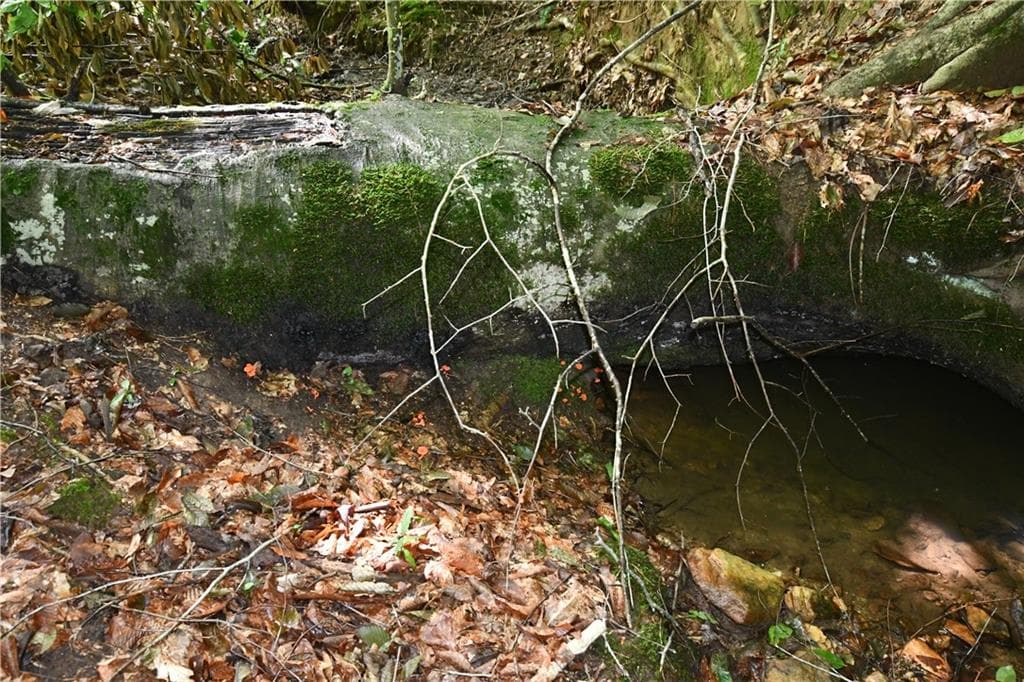 unimproved land for sale at 00008 Windridge Lane, Temple, GA 30179 — photo 6