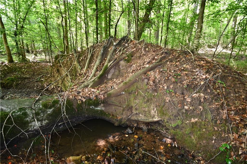 unimproved land for sale at 00008 Windridge Lane, Temple, GA 30179 — photo 7