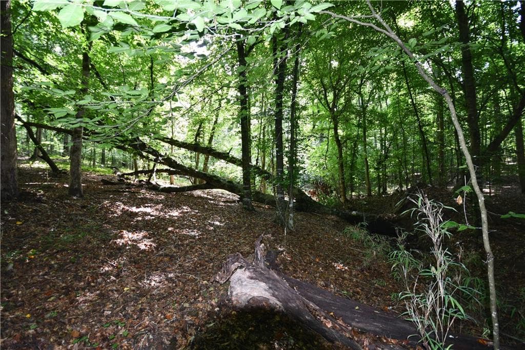 unimproved land for sale at 00008 Windridge Lane, Temple, GA 30179 — photo 9