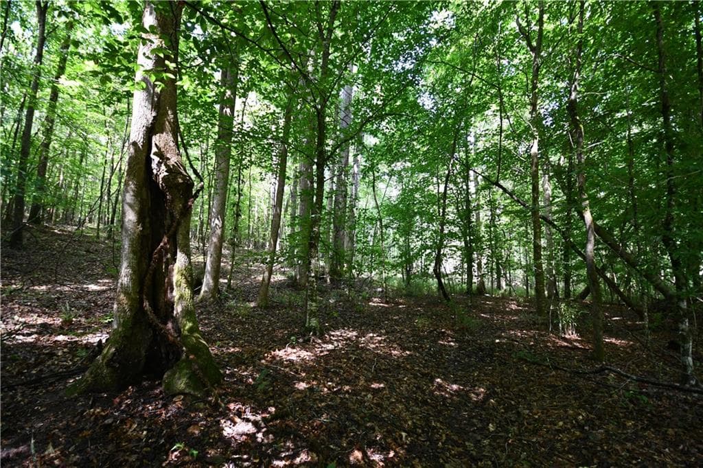 unimproved land for sale at 00008 Windridge Lane, Temple, GA 30179 — photo 10