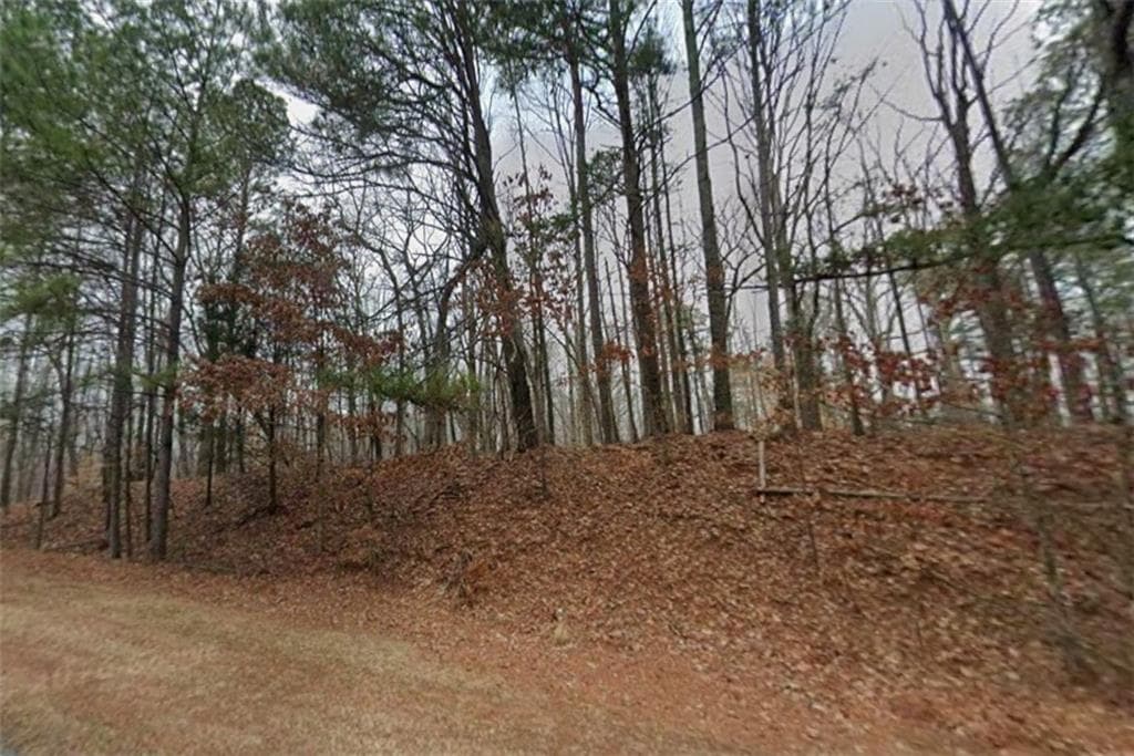 single family residence for sale at 0 Holly Lynn Court, Canton, GA 30115 — photo 7