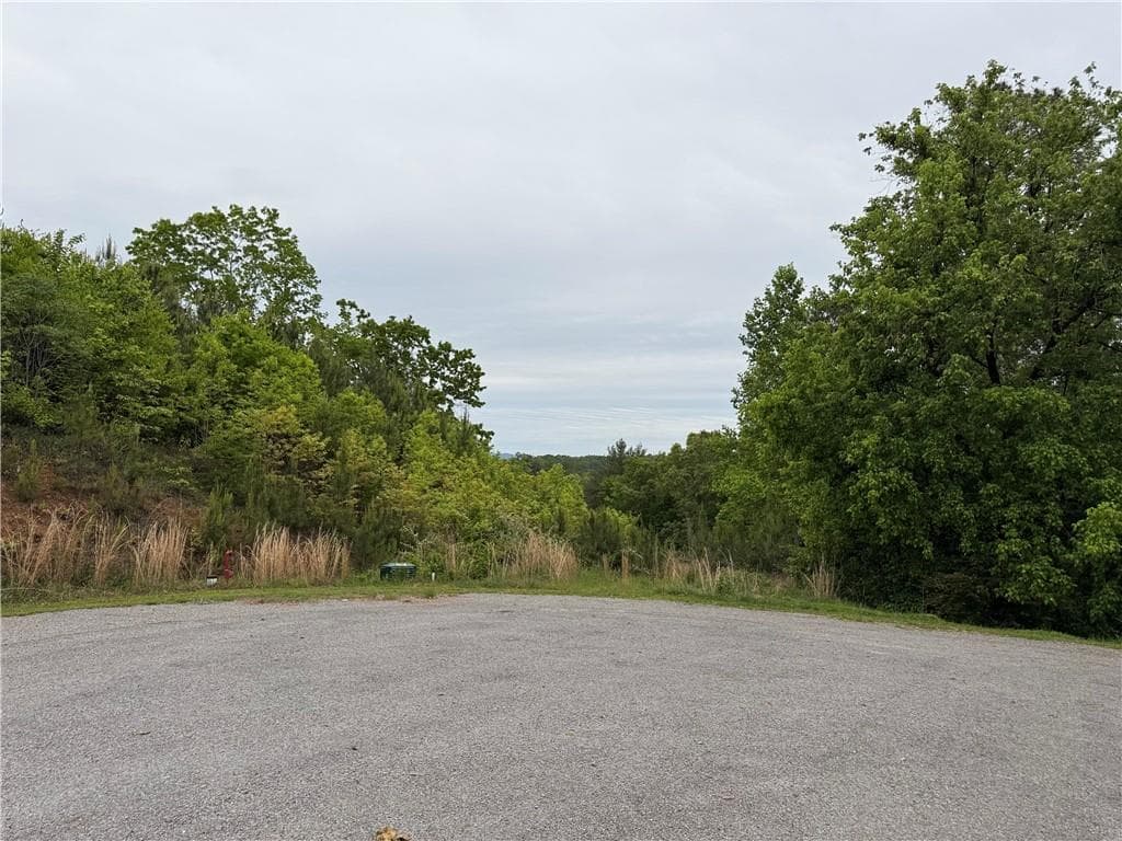 unimproved land for sale at 00 High River Crossing, Ellijay, GA 30540 — photo 1 of 8